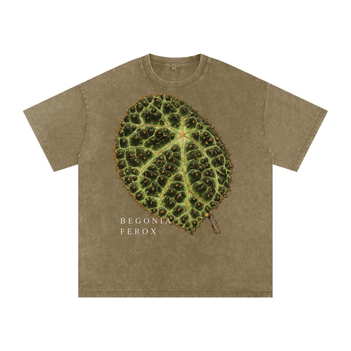 Begonia Ferox Oversized Cotton T-Shirt