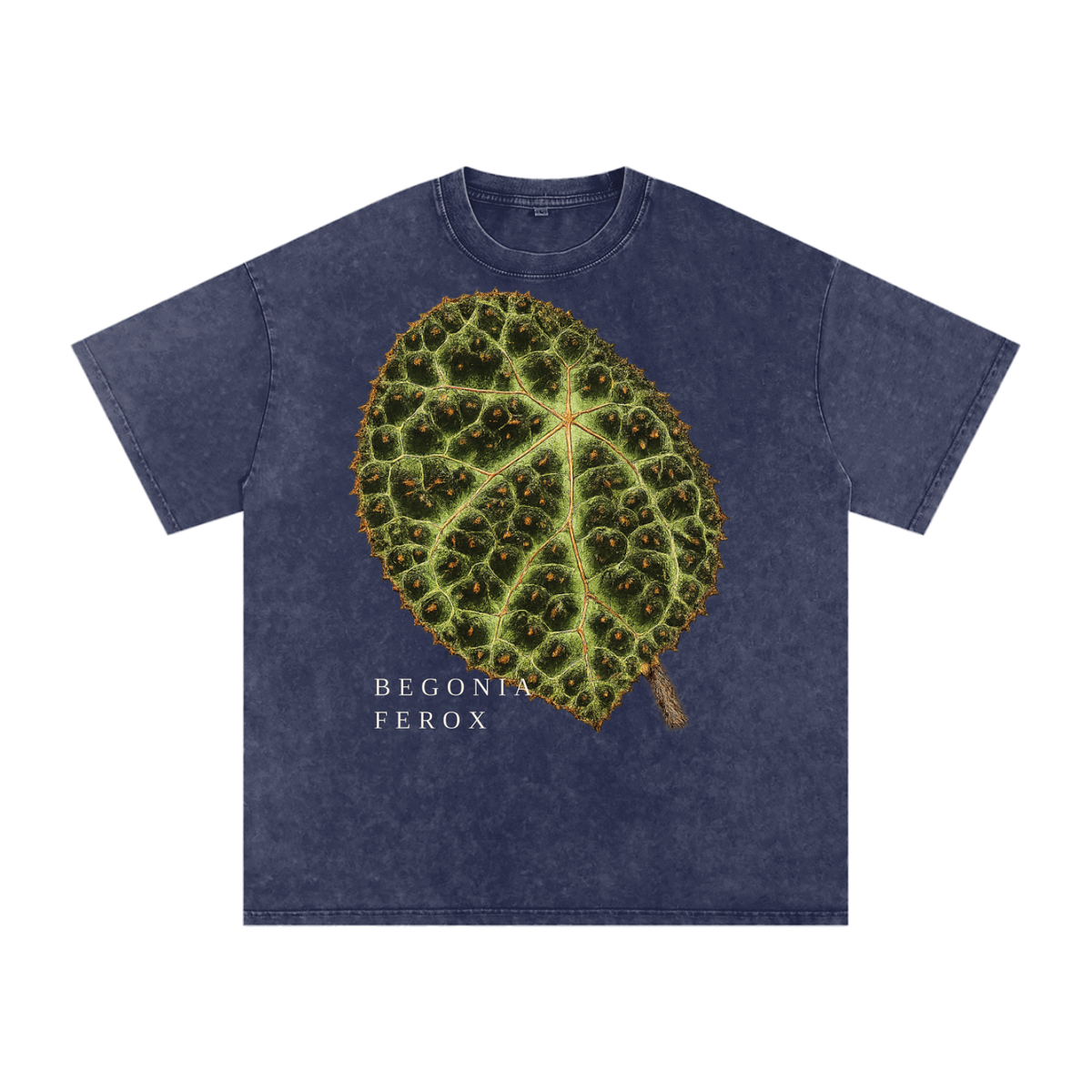 Begonia Ferox Oversized Cotton T-Shirt